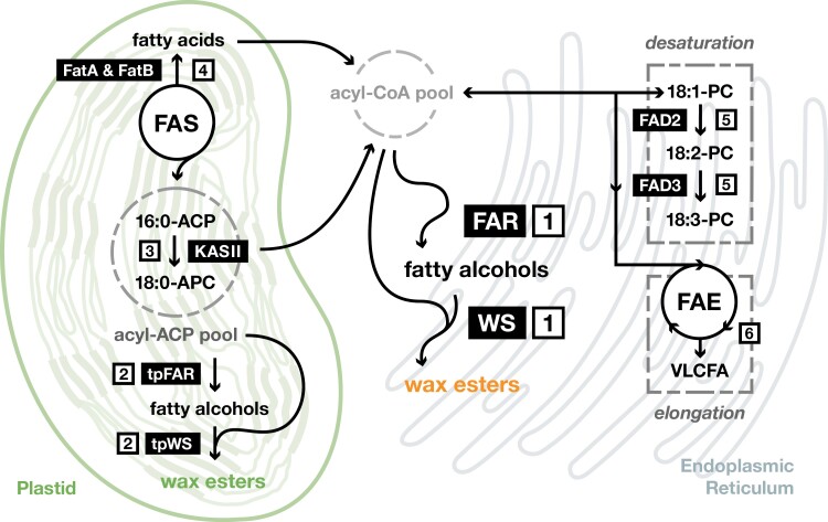 Fig. 3.