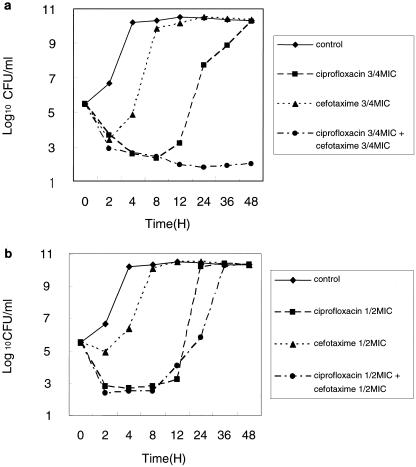 FIG. 1.