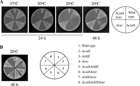 FIG. 4.