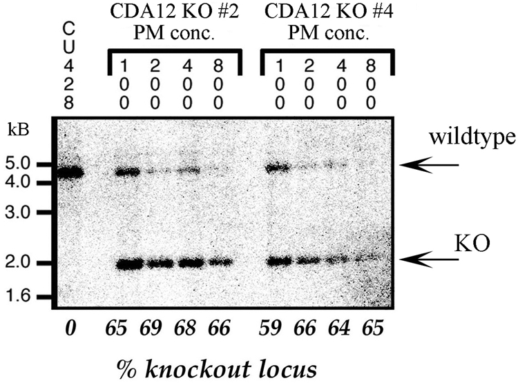 FIG. 7.