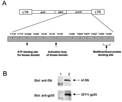 FIG. 1.