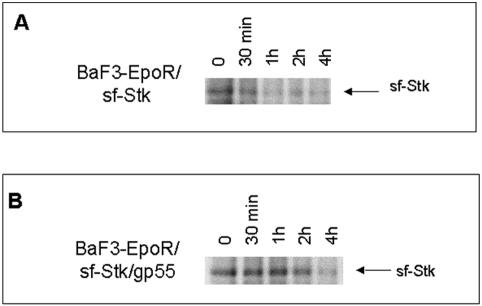 FIG. 5.