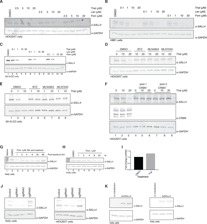 Figure 2—figure supplement 1.