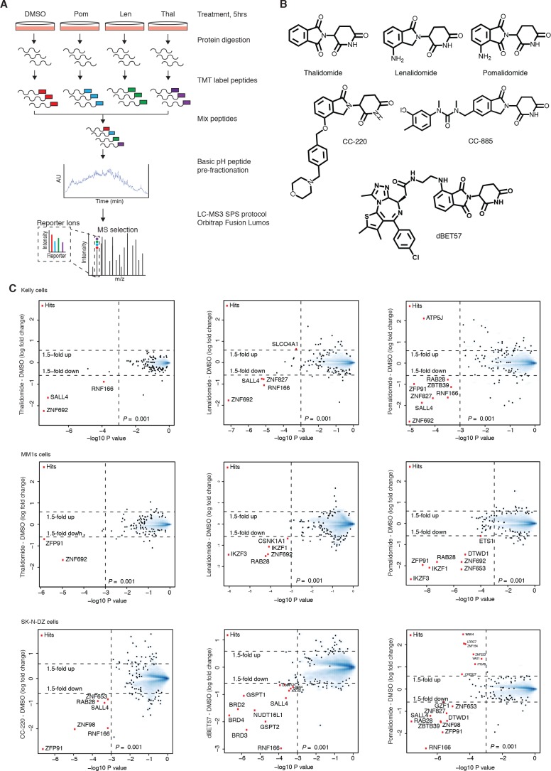 Figure 1—figure supplement 1.