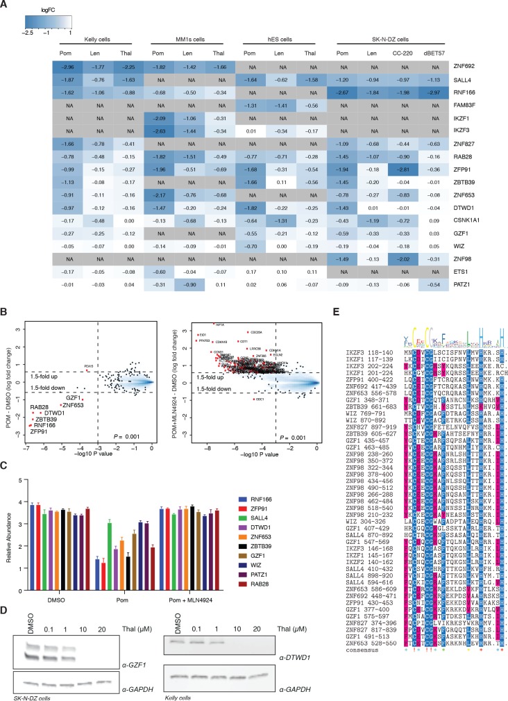 Figure 1—figure supplement 2.