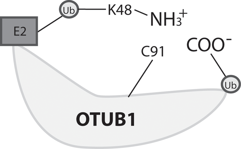 Figure 4)