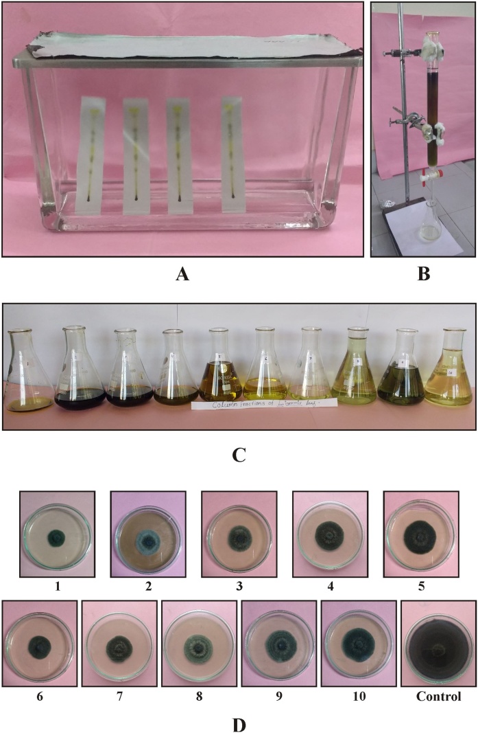 Fig. 4