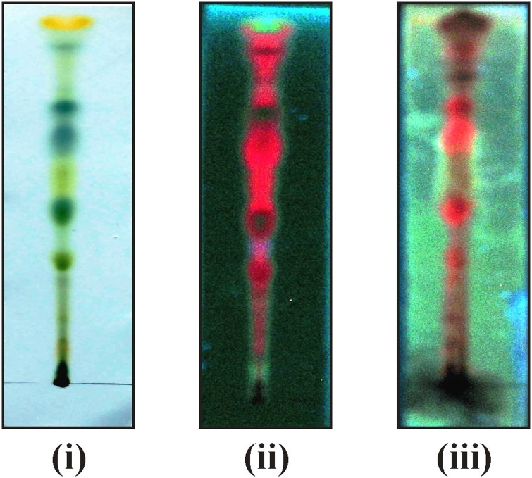 Fig. 3