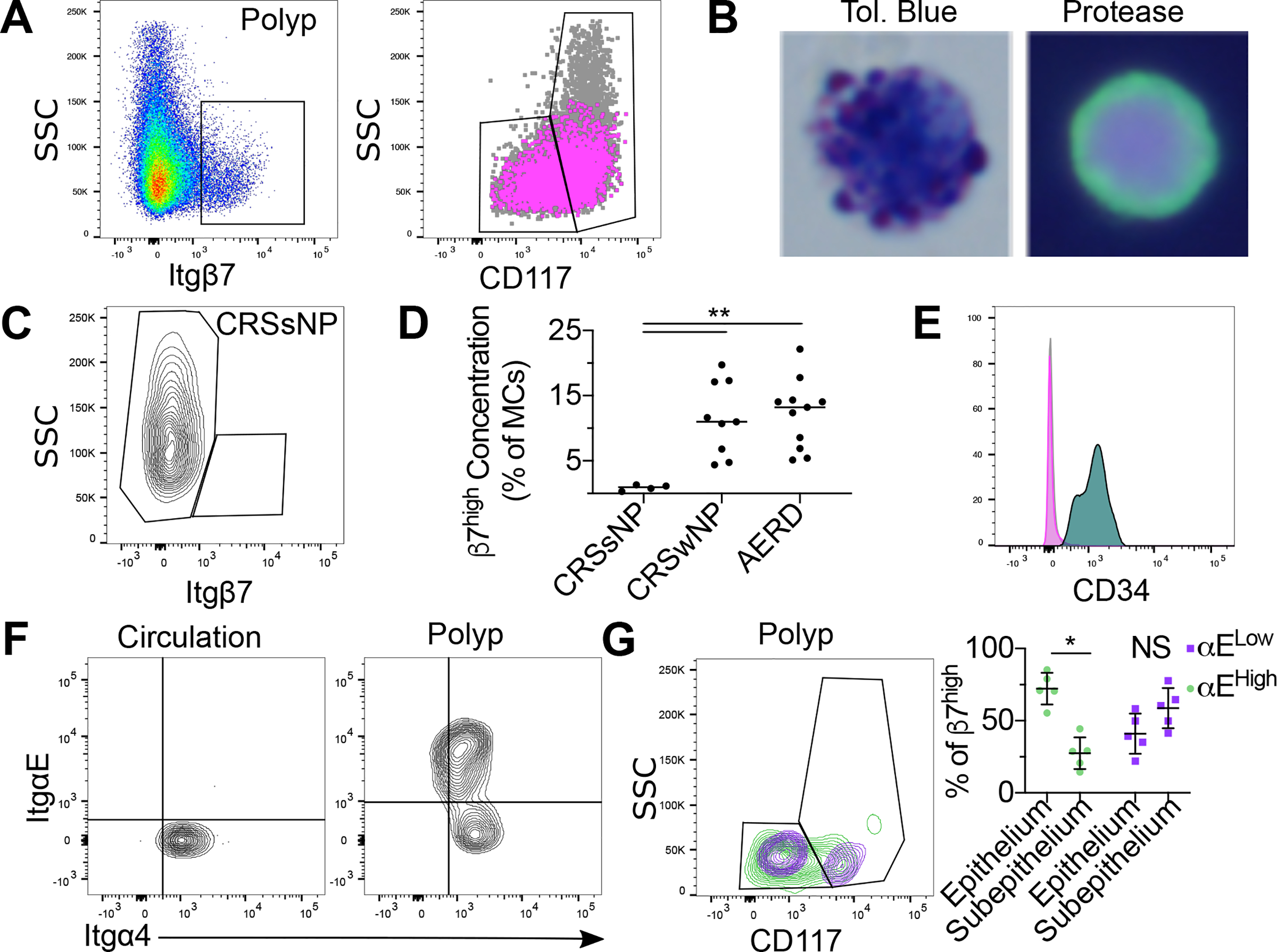 Figure 2: