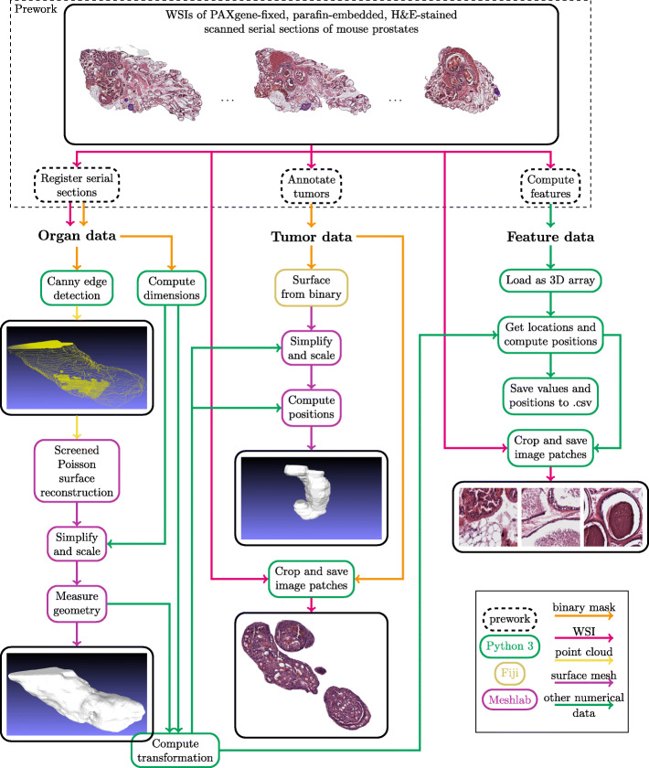 Fig. 2