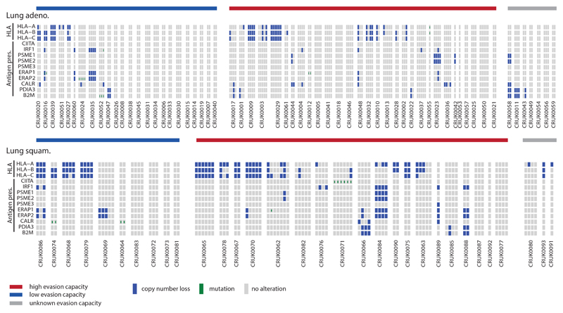 Extended Data Fig. 7