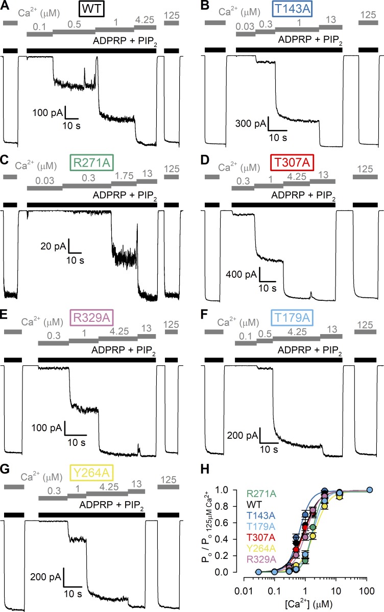 Figure 7.