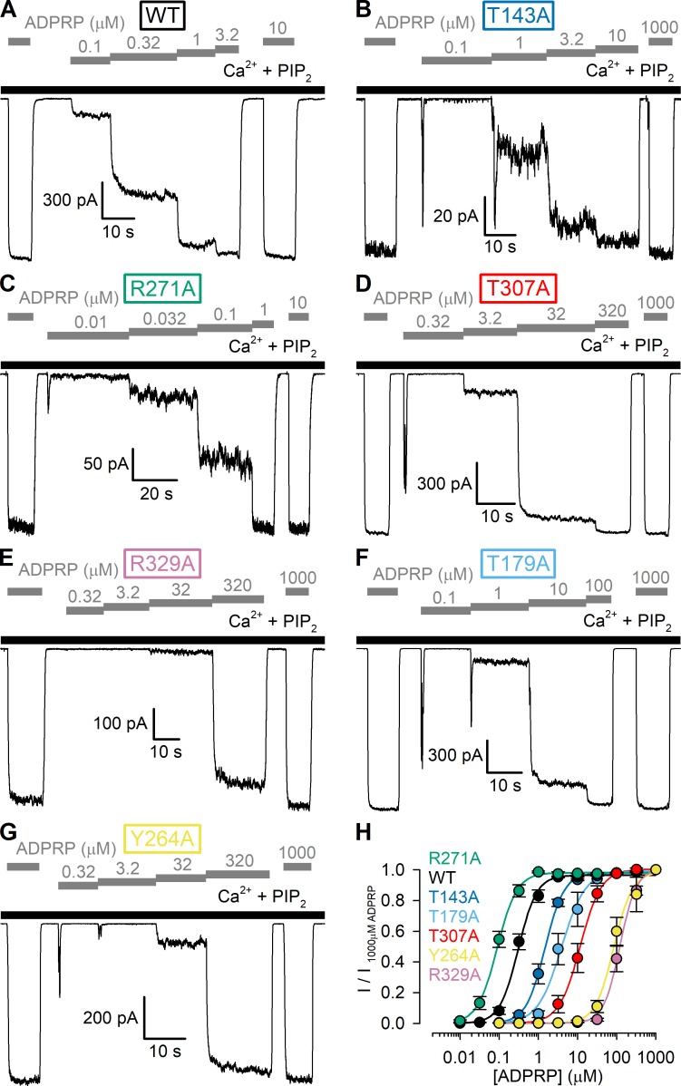 Figure 6.