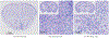 Figure 7: