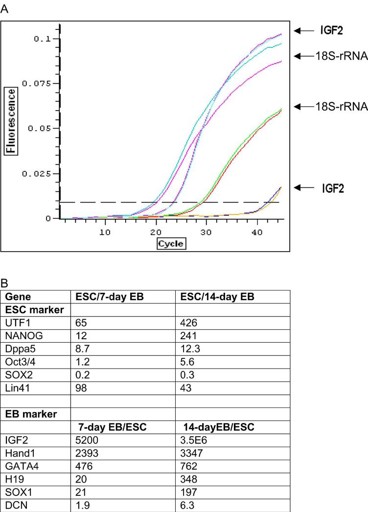 Fig 5