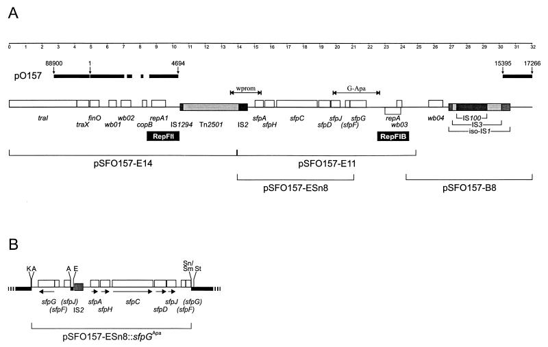 FIG. 5