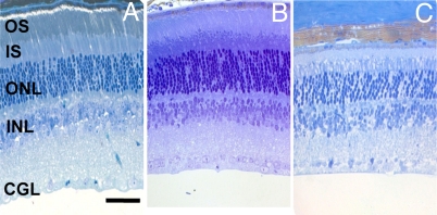 Fig. 8.