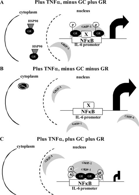 FIGURE 9.