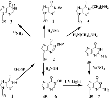 Scheme 1