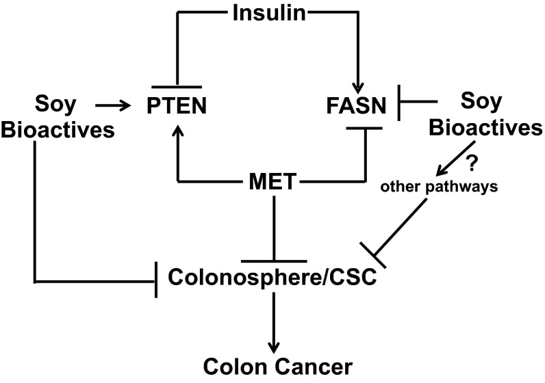 Fig. 6