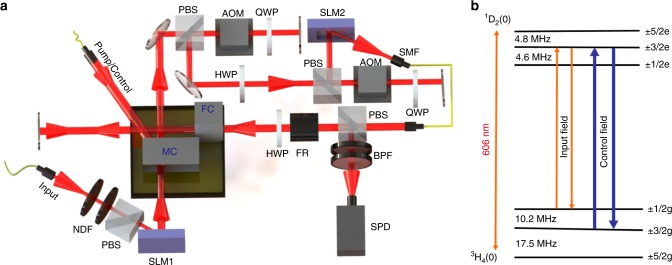 Fig. 1