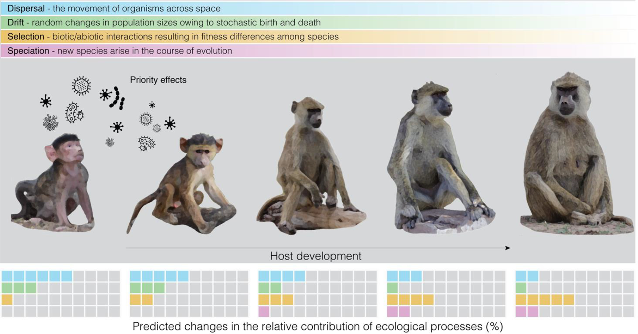 Figure 2: