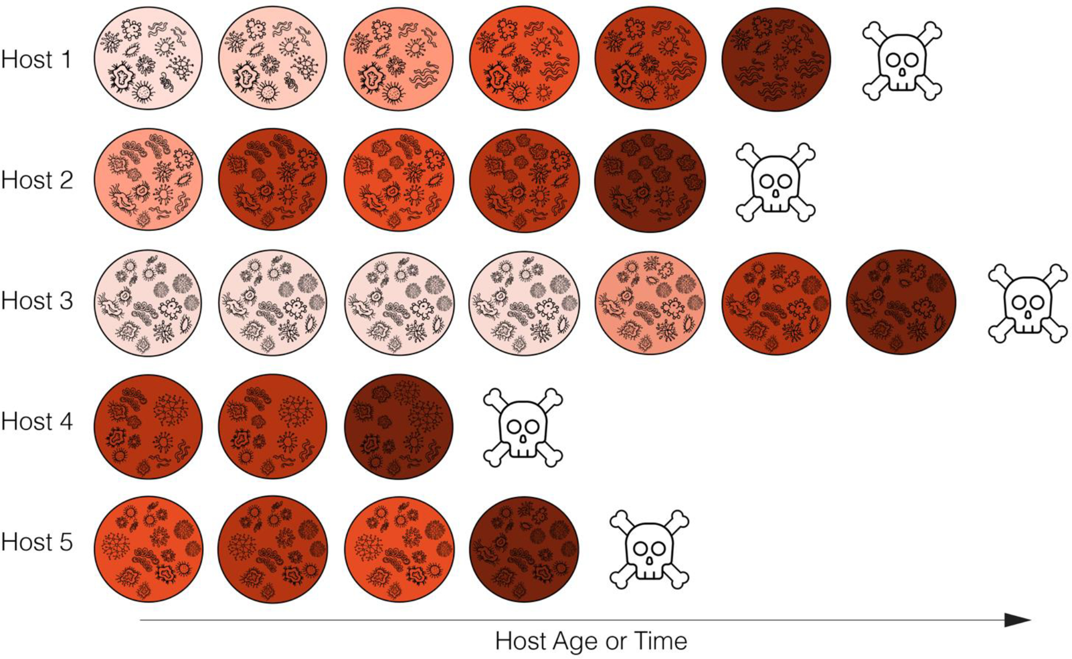 Figure 4: