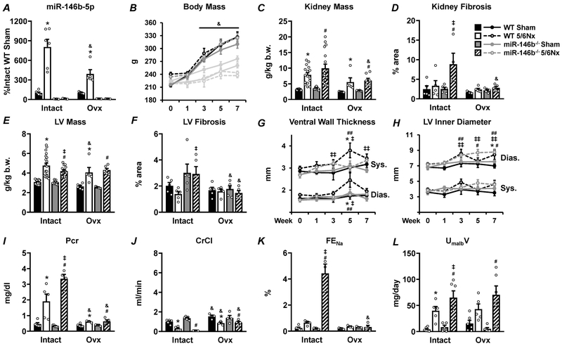 Figure 7: