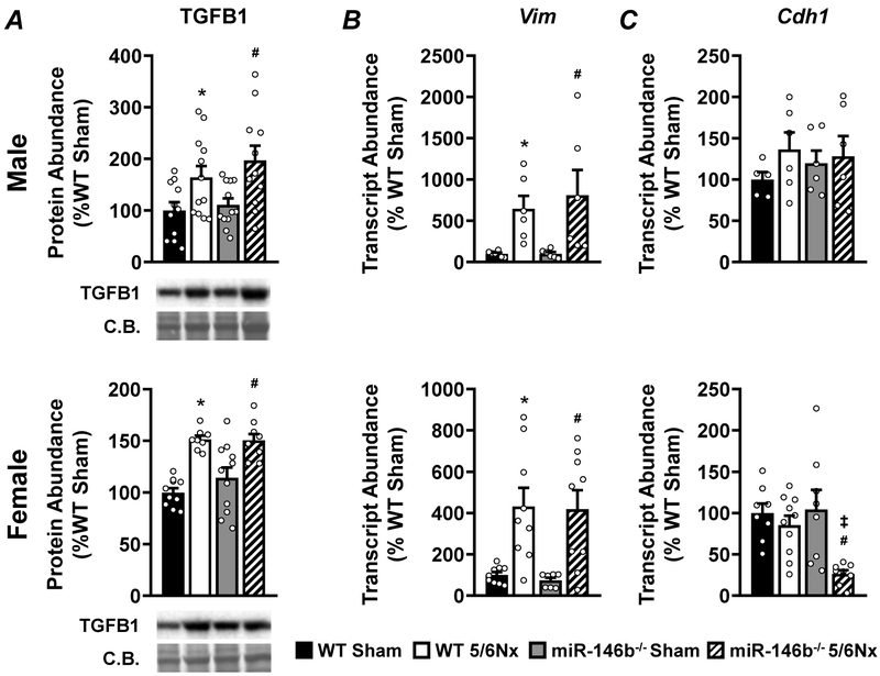 Figure 9: