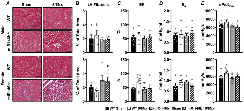 Figure 6: