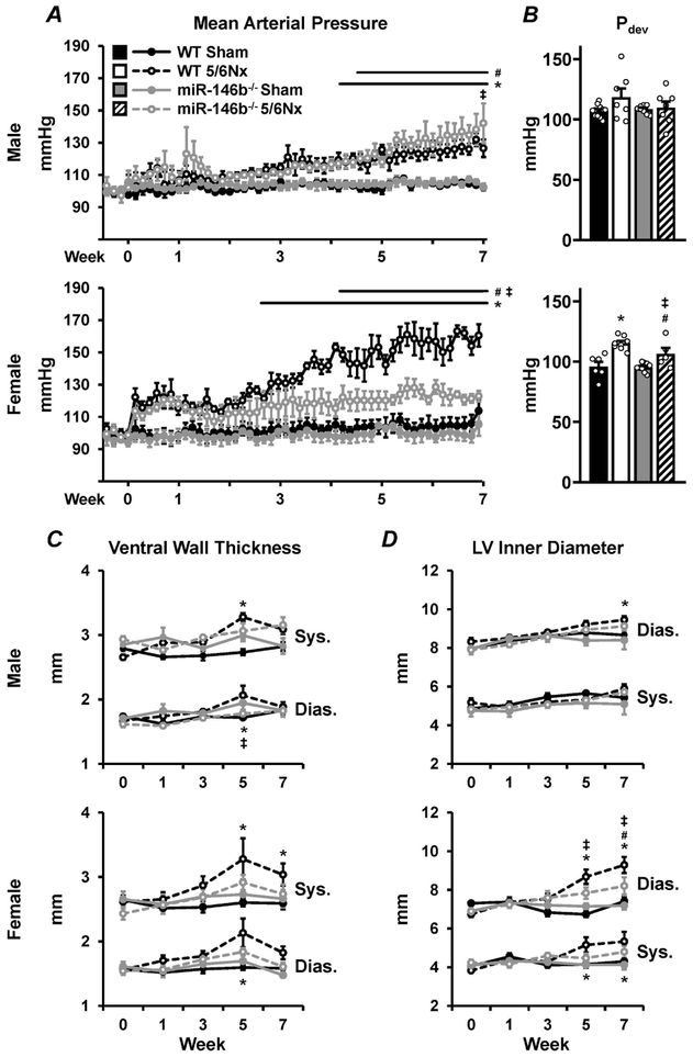 Figure 5: