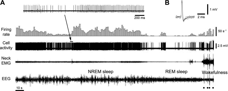 Figure 12.