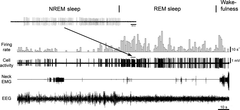 Figure 10.