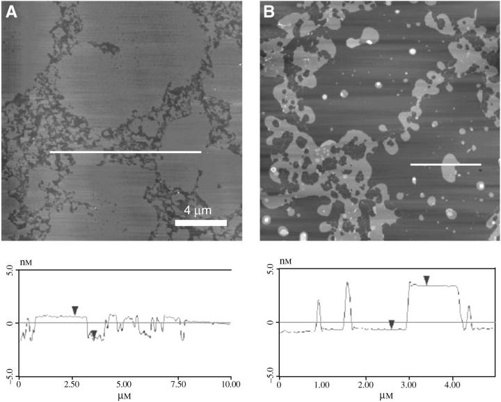 FIGURE 4