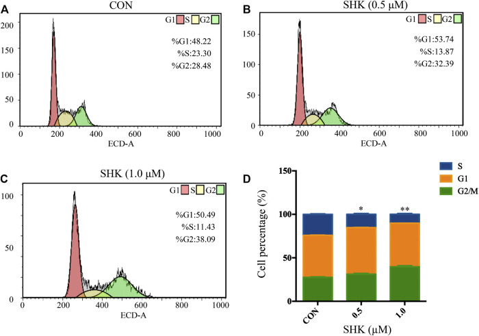 FIGURE 2