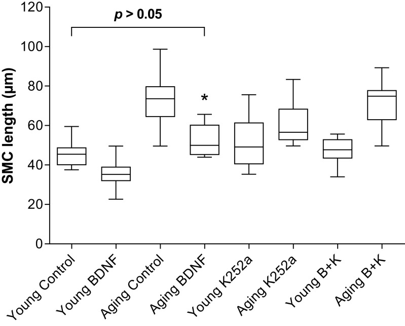 Figure 7.