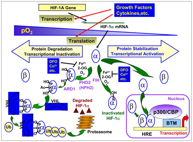 Fig. (1)