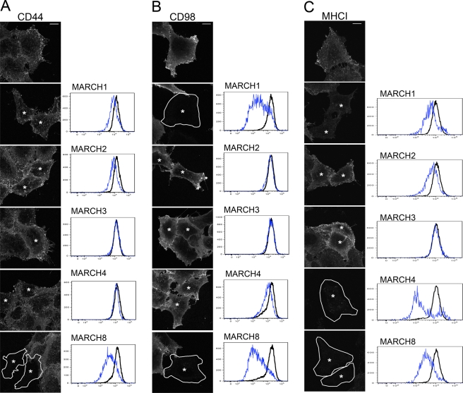 FIGURE 3: