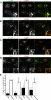 FIGURE 7: