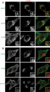 FIGURE 1: