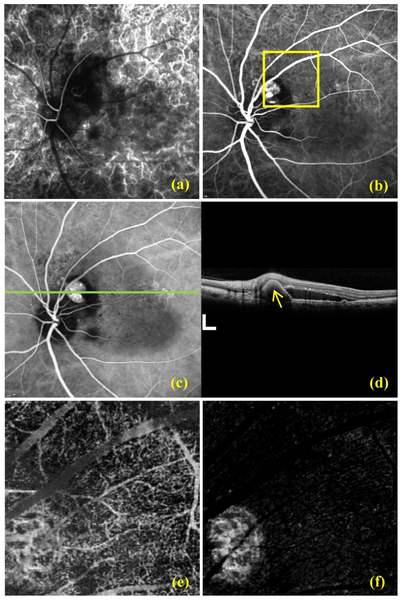 Fig. 7