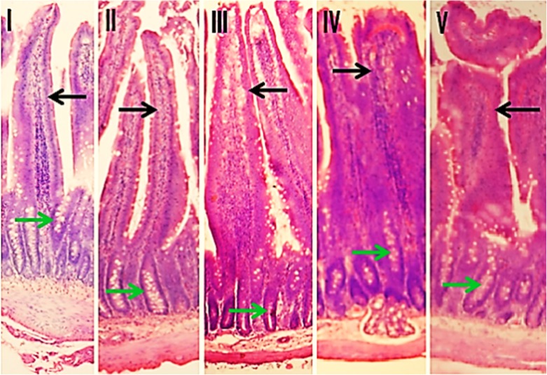 Fig 6