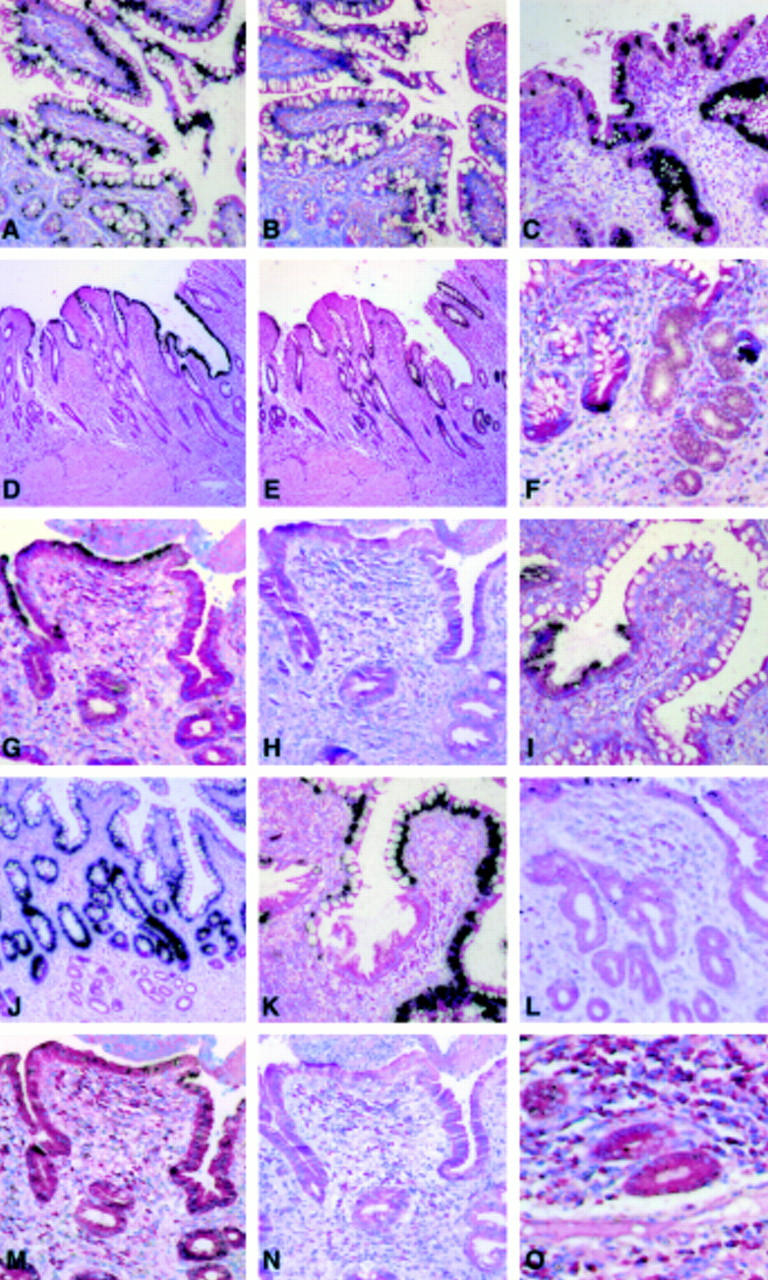 Figure 1  