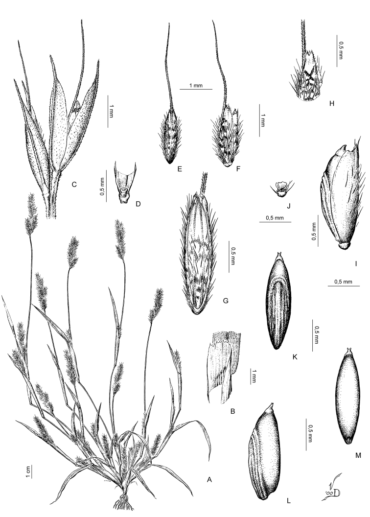 Figure 10.