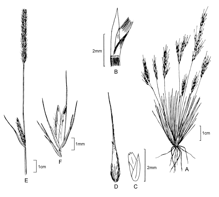 Figure 11.