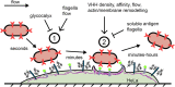FIG 6