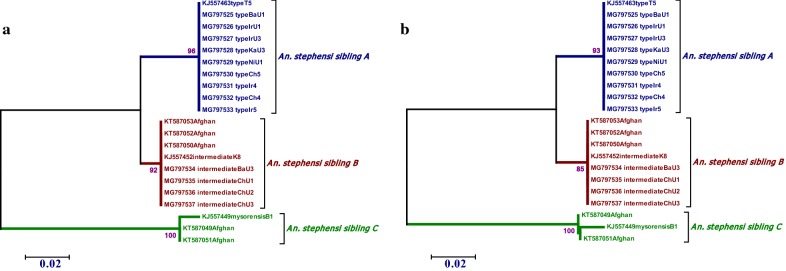 Fig. 3