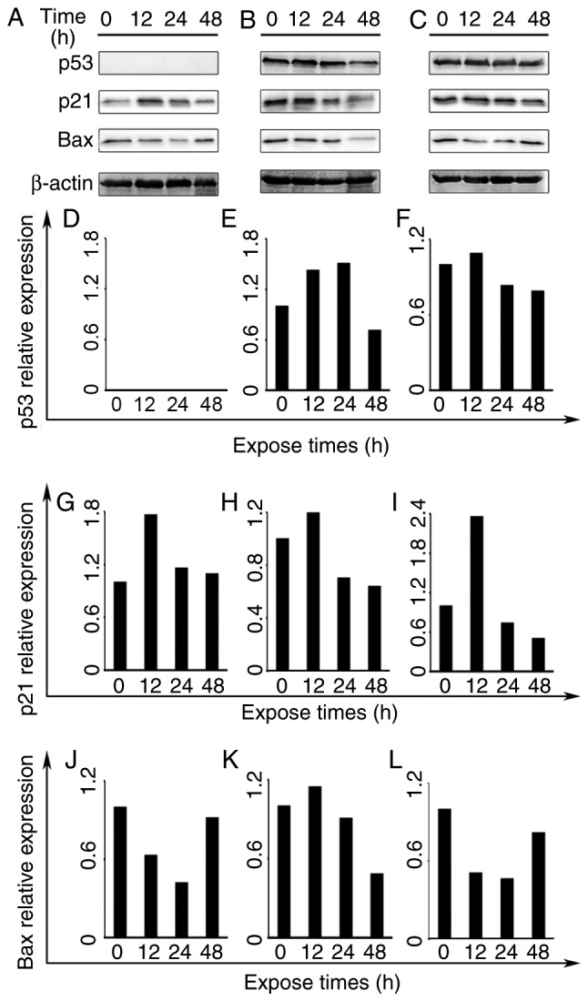 Figure 5.