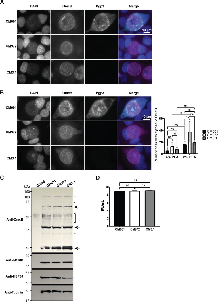 FIG 6