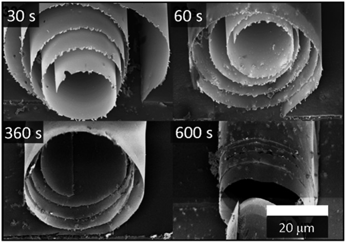 Fig. 4